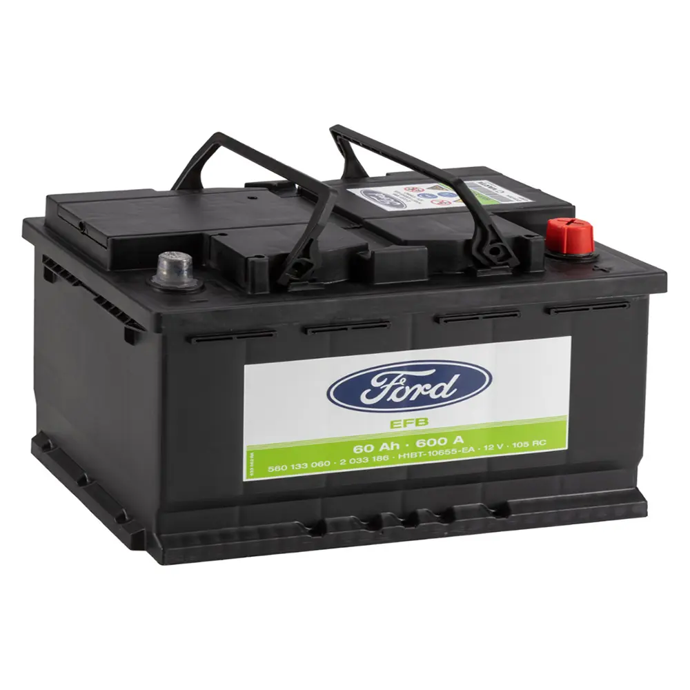 CC1T10655BB Ford LN4 EFB